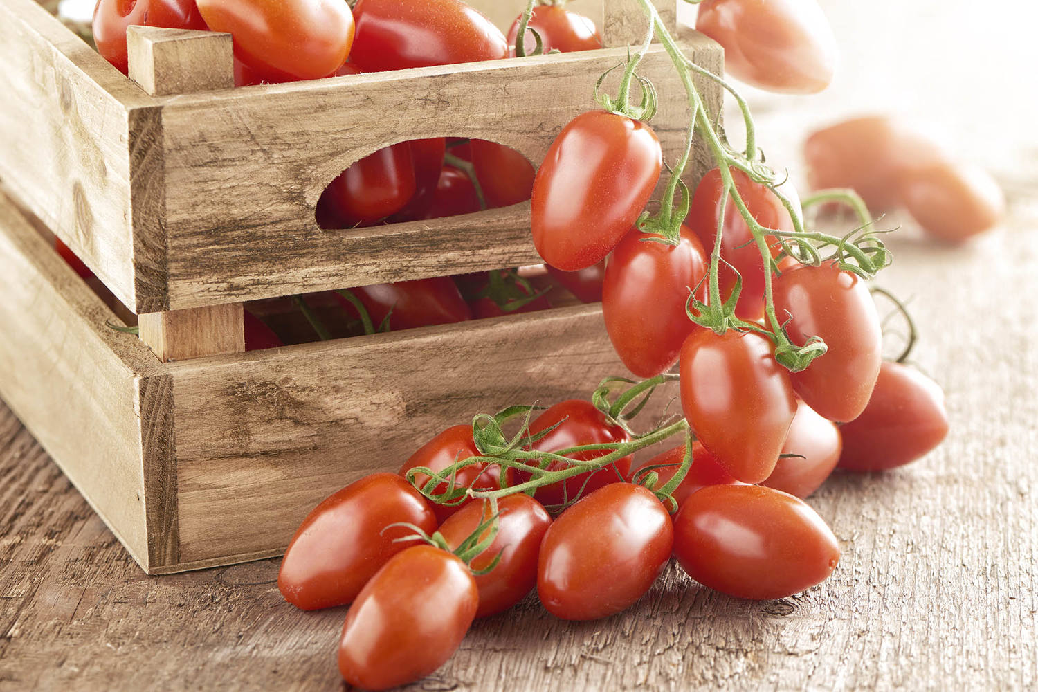 BIO Tomaten cherry 250gr stuk 3
